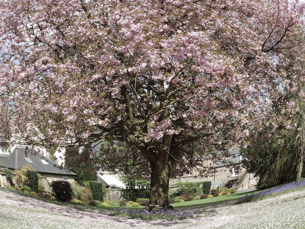 Hedgefield House Hotel Ryton  Eksteriør billede